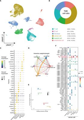 Complex interaction and heterogeneity among cancer stem cells in head and neck squamous cell carcinoma revealed by single-cell sequencing